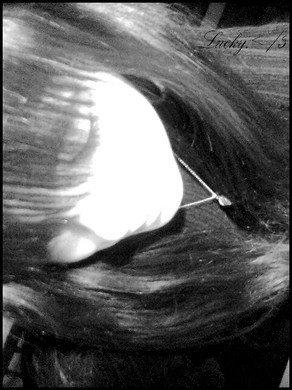 Les choix sont parfois bien difficiles.